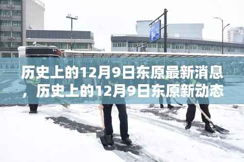 揭秘历史上的东原新动态，最新消息全解析与揭秘新动态内幕