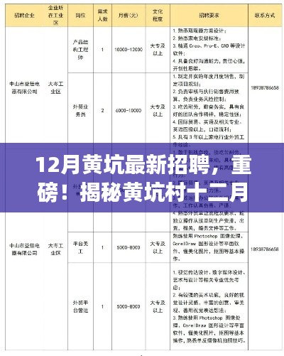揭秘黄坑村十二月最新招聘热潮,职业新机遇探寻!
