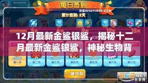 揭秘十二月最新金鲨银鲨，神秘生物背后的故事探秘