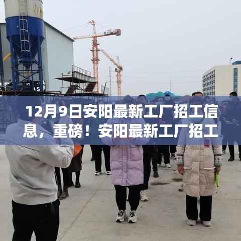重磅揭秘,安阳工厂最新招工信息,开启您的职业之旅!
