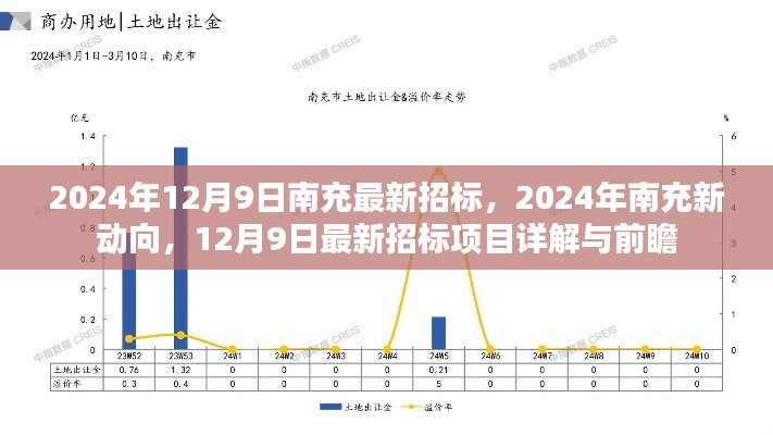 2024年南充新动向,最新招标项目详解与前瞻
