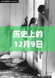 美国交换生失踪事件最新进展,聚焦历史12月9日最新消息