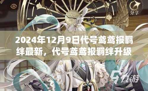 代号鸢鸢报羁绊揭秘,未来世界的新篇章,2024年全新变革揭秘