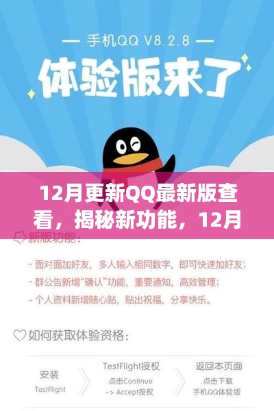 揭秘新功能,抢先体验全新视界,QQ最新版更新亮点详解