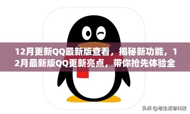 揭秘新功能,抢先体验全新视界,QQ最新版更新亮点详解