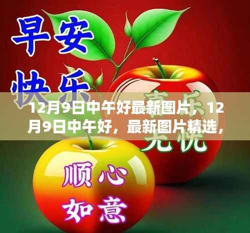 时光之美精选图片,12月9日中午的最新呈现