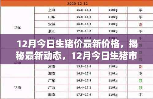 揭秘最新动态，12月今日生猪市场风云变幻的价格走势及最新生猪价分析