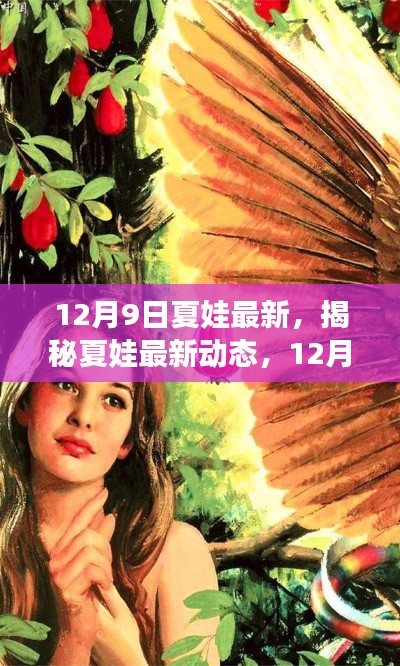 揭秘夏娃最新动态，12月9日的神秘面纱揭晓