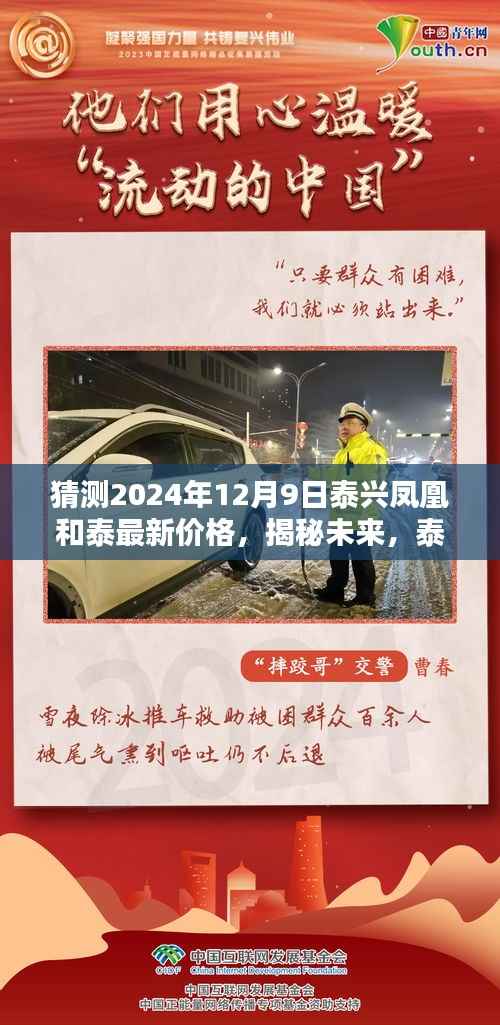 揭秘未来泰兴凤凰与泰最新价格走势预测报告(预测至2024年12月9日)