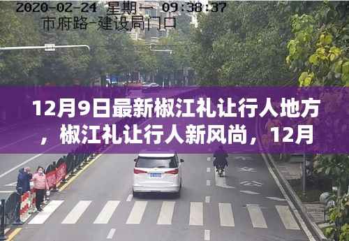 椒江礼让行人新风尚，行人优先通行的最新实践（12月9日更新）