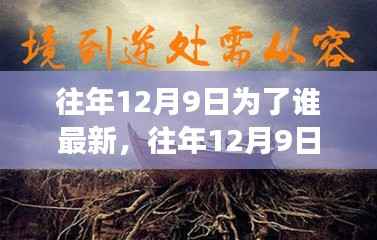 往年12月9日的不平凡故事与纪念意义揭秘