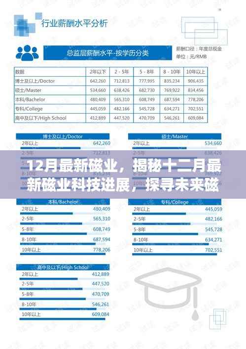 揭秘十二月最新磁业科技进展,探寻未来磁材料领域的无限潜力