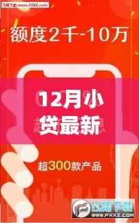 揭秘十二月最新小贷口子，资金周转的秘密武器与违法犯罪问题探讨