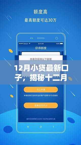 揭秘十二月最新小贷口子,资金周转的秘密武器与违法犯罪问题探讨