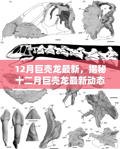 按部就班 第6页