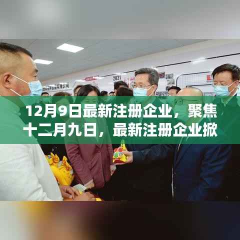 聚焦十二月九日，最新注册企业掀起创新与活力浪潮