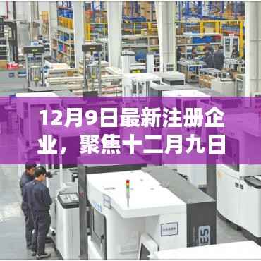 聚焦十二月九日，最新注册企业掀起创新与活力浪潮
