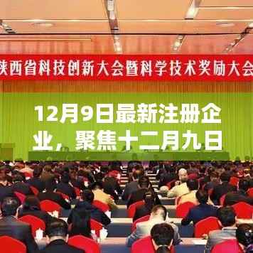 聚焦十二月九日，最新注册企业掀起创新与活力浪潮