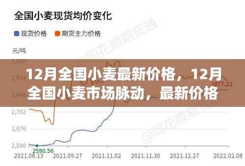 12月全国小麦市场动态，最新价格及走势深度解析