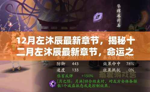 揭秘左沐辰十二月最新章节，命运之轮转动之际