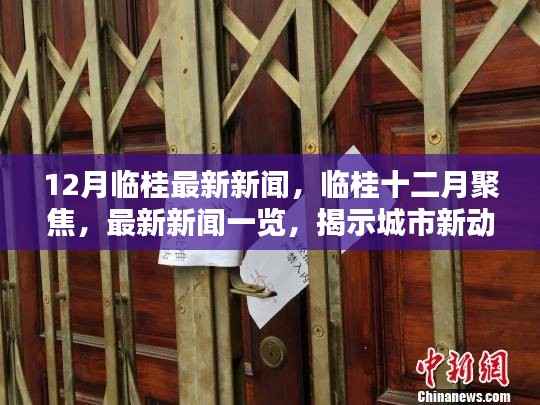 临桂十二月最新新闻聚焦,揭示城市新动态