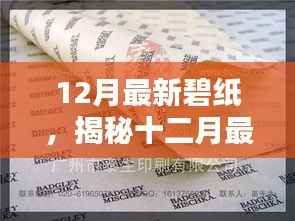 揭秘十二月最新碧纸技术，绿色包装革命浪潮来袭