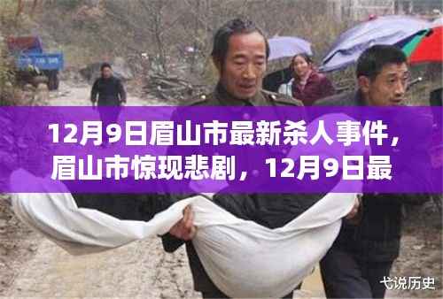 眉山市发生最新杀人事件，深度剖析背后的悲剧真相（12月9日）