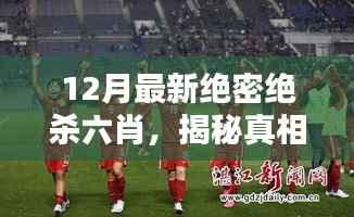 揭秘,12月最新绝密绝杀六肖真相与背后挑战全解析