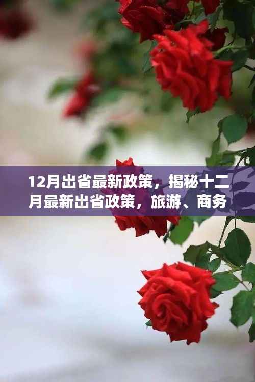 集思广益 第6页