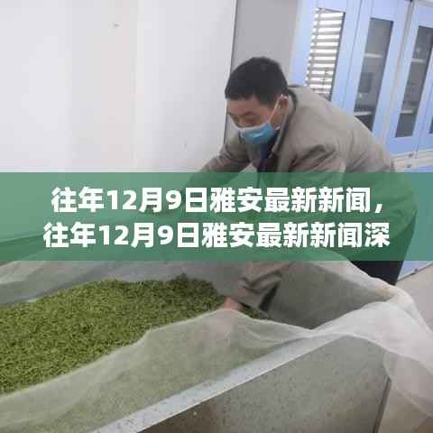 往年12月9日雅安最新新闻深度解析，城市新动向与经济文化发展脉络