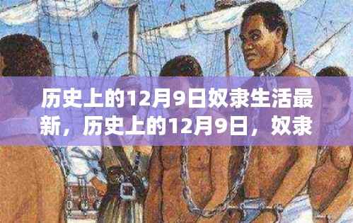 历史上的12月9日，奴隶生活的最新解读与回顾