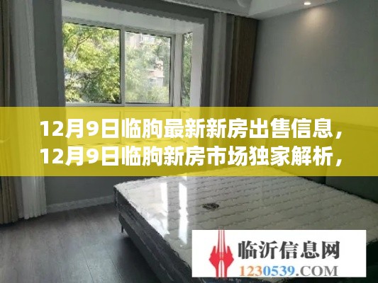 临朐新房独家解析，最新房源出售信息与市场动态一网打尽