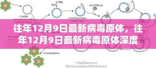 深度解析，往年12月9日病毒原体起源、特性及应对策略揭秘