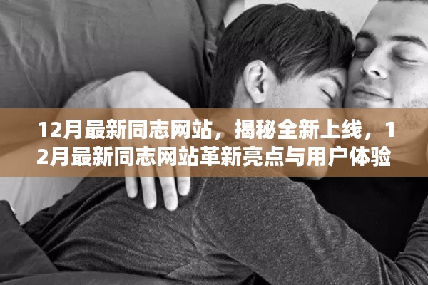 揭秘上线，12月最新同志网站革新亮点与用户体验深度解析