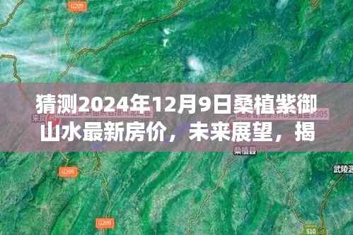 揭秘桑植紫御山水未来房价走势，预测与未来展望至2024年12月9日最新房价揭晓！
