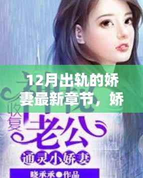 娇妻的秘密,十二月背叛的迷离章节与出轨的迷离真相
