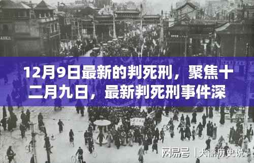 深度解析,十二月九日最新判死刑事件聚焦