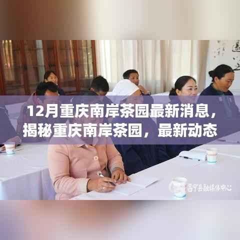 揭秘重庆南岸茶园，最新动态与未来展望（专刊）