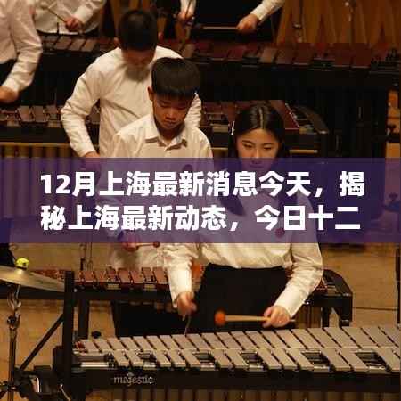 揭秘上海最新动态，今日十二月瞩目资讯全览
