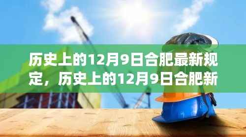 合肥新规重磅发布,深度解读与影响分析(历史上的十二月九日)