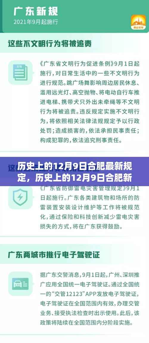 合肥新规重磅发布,深度解读与影响分析(历史上的十二月九日)
