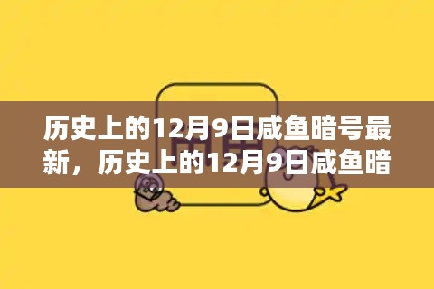 历史上的12月9日咸鱼暗号揭秘与最新解密传承