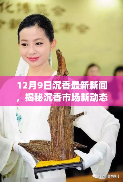 12月9日沉香市场揭秘，最新动态与新闻报道