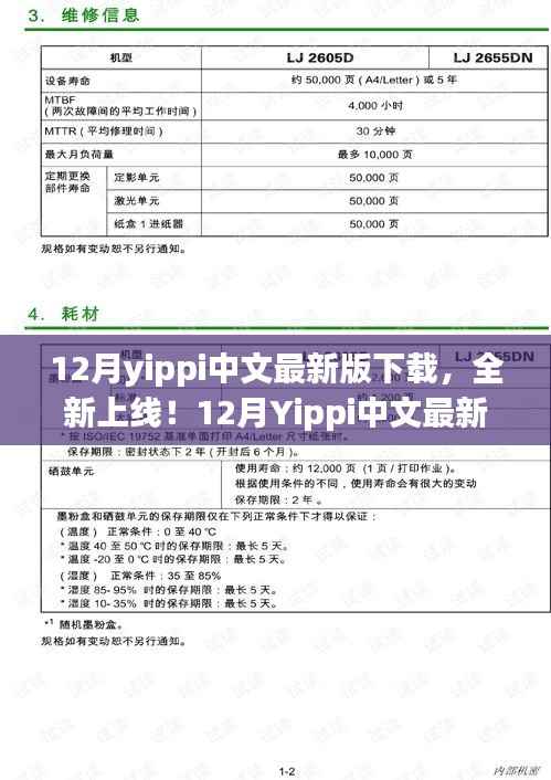 12月Yippi中文最新版下载指南与体验分享，全新上线，不容错过！