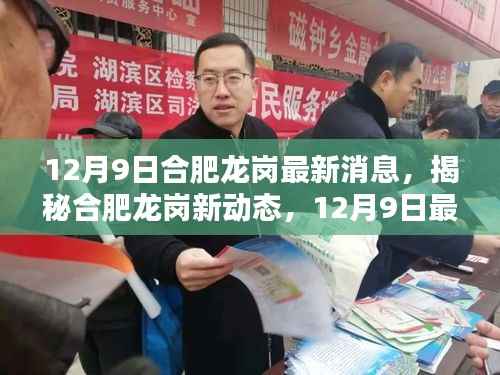 揭秘合肥龙岗新动态，最新消息速递（12月9日）