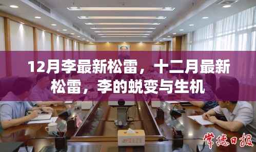 李最新松雷的蜕变与生机，十二月的生机展现