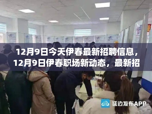 12月9日伊春最新招聘信息及职场动态全面解析