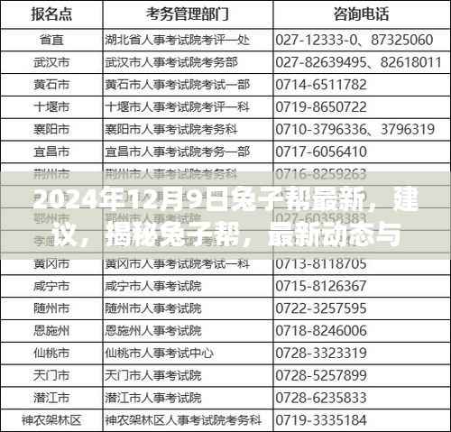 揭秘兔子帮，最新动态、建议与未来展望——聚焦2024年12月的新篇章
