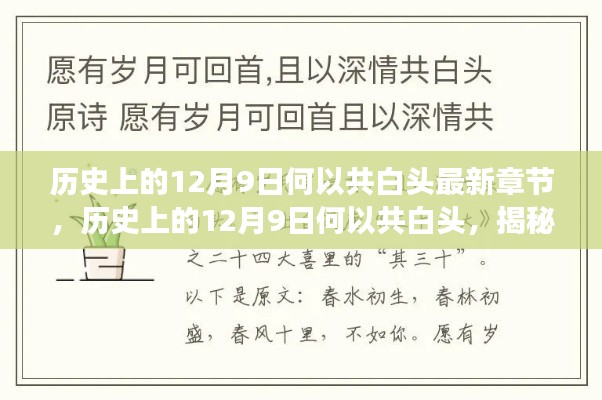 揭秘历史上的12月9日深层含义,何以共白头最新章节探讨揭秘!