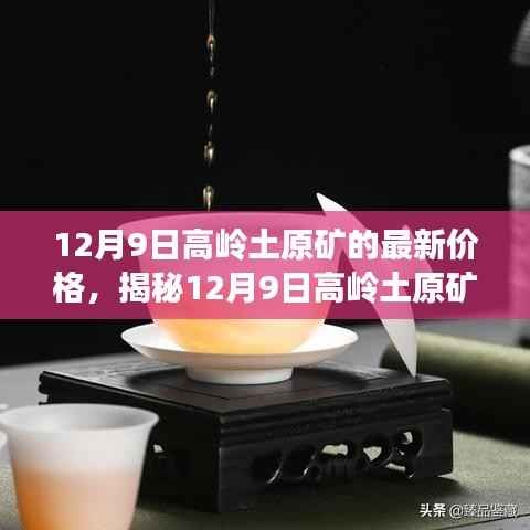揭秘，12月9日高岭土原矿最新价格走势及深度分析与预测报告发布！